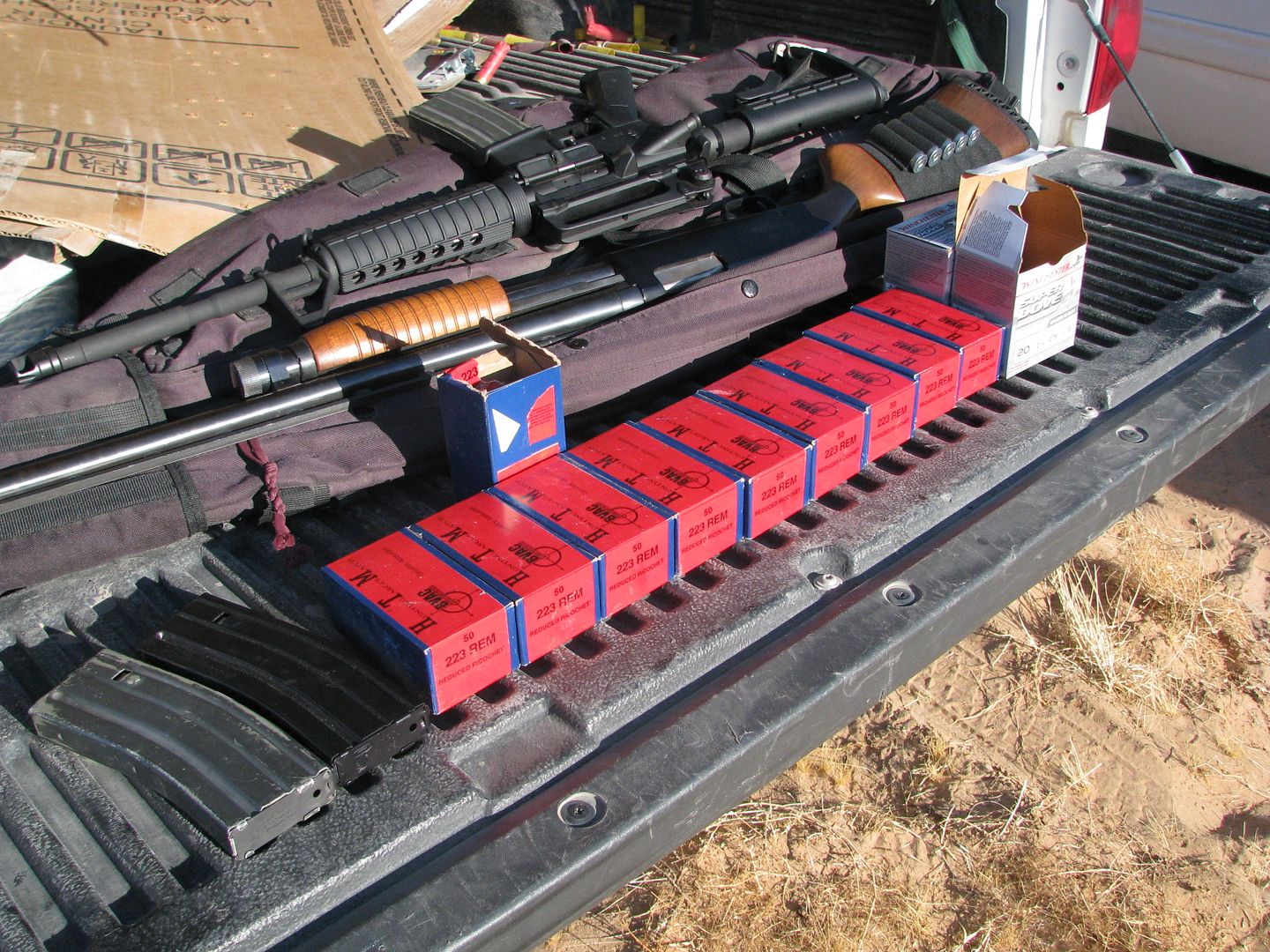 Bushmaster AR15 and Winchester 20 ga shotgun Bushmaster AR15 and Winchester 20 ga shotgun