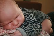 cuddles Cuddles - great for attachment