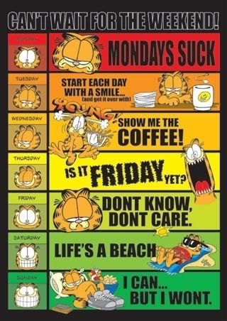 garfield school posters