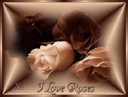 i love roses Pictures, Images and Photos