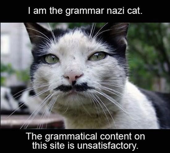 Grammar Nazi Cat Pictures, Images and Photos