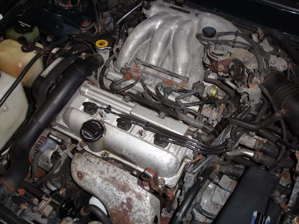 www.toyotanation.com