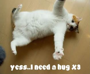 cat hugs Pictures, Images and Photos