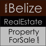 Cost-effective Real Estate Advertising Belize Real Estate For Sale
