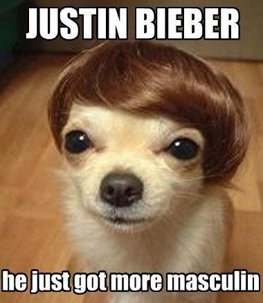 pictures of justin bieber dog. ieber-dog.jpg Justin Bieber