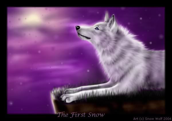 http://i469.photobucket.com/albums/rr59/deni-eni_bucket/The_First_Snow.jpg